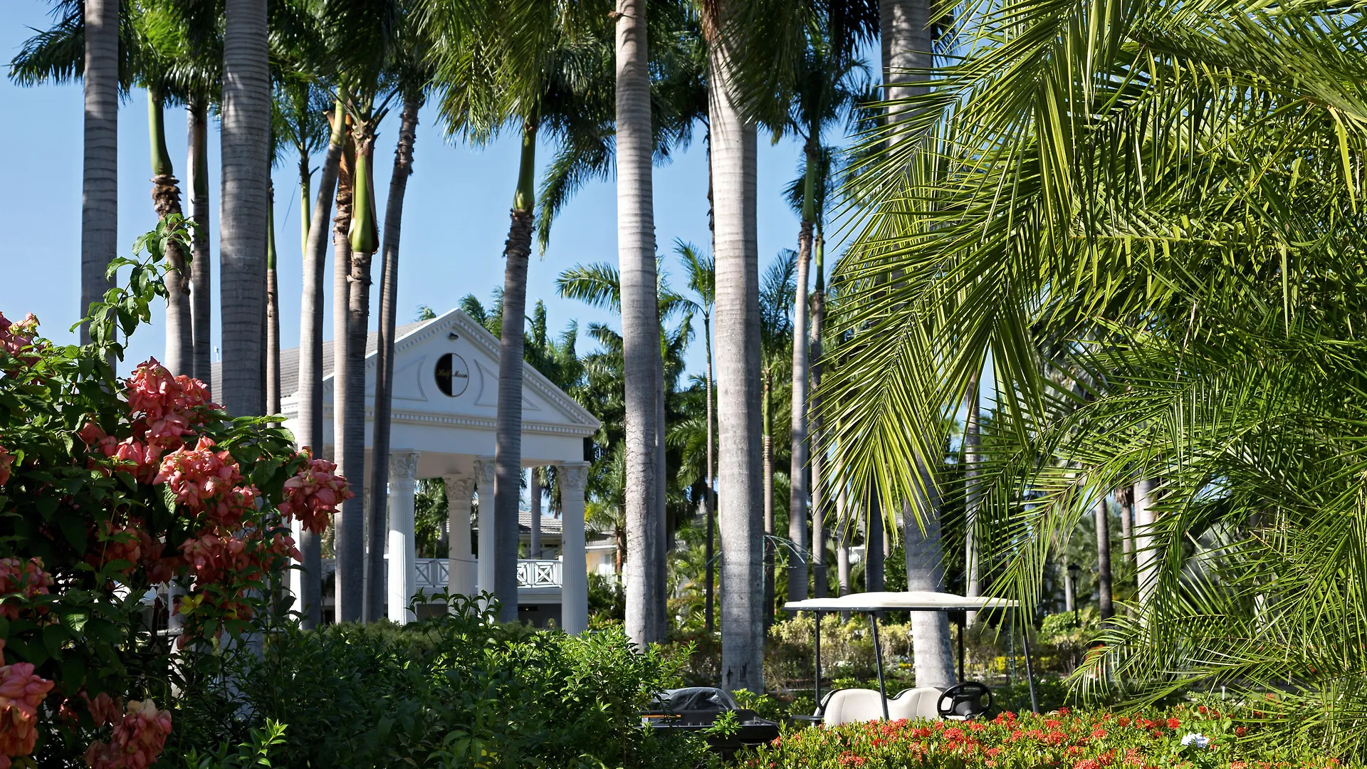 Half Moon Hotel Montego Bay 5*,